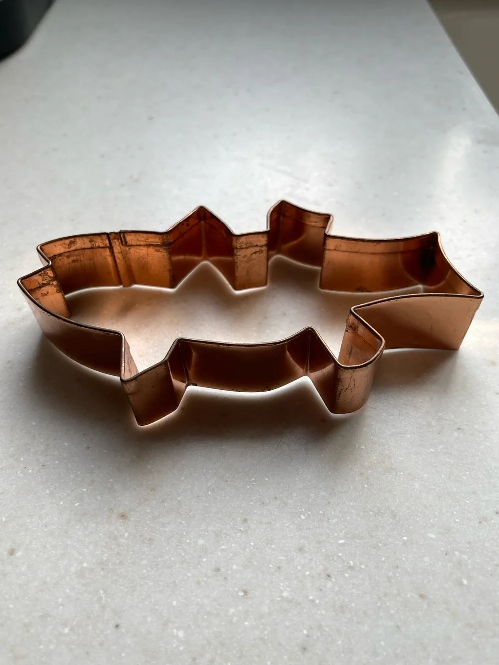Copper cookie cutter large fish